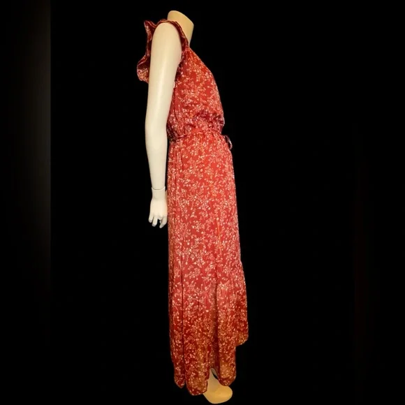 Ann Taylor Womens 8 Shimmer Floral Flutter Cottage Boho Midi Dress - Picture 15 of 15